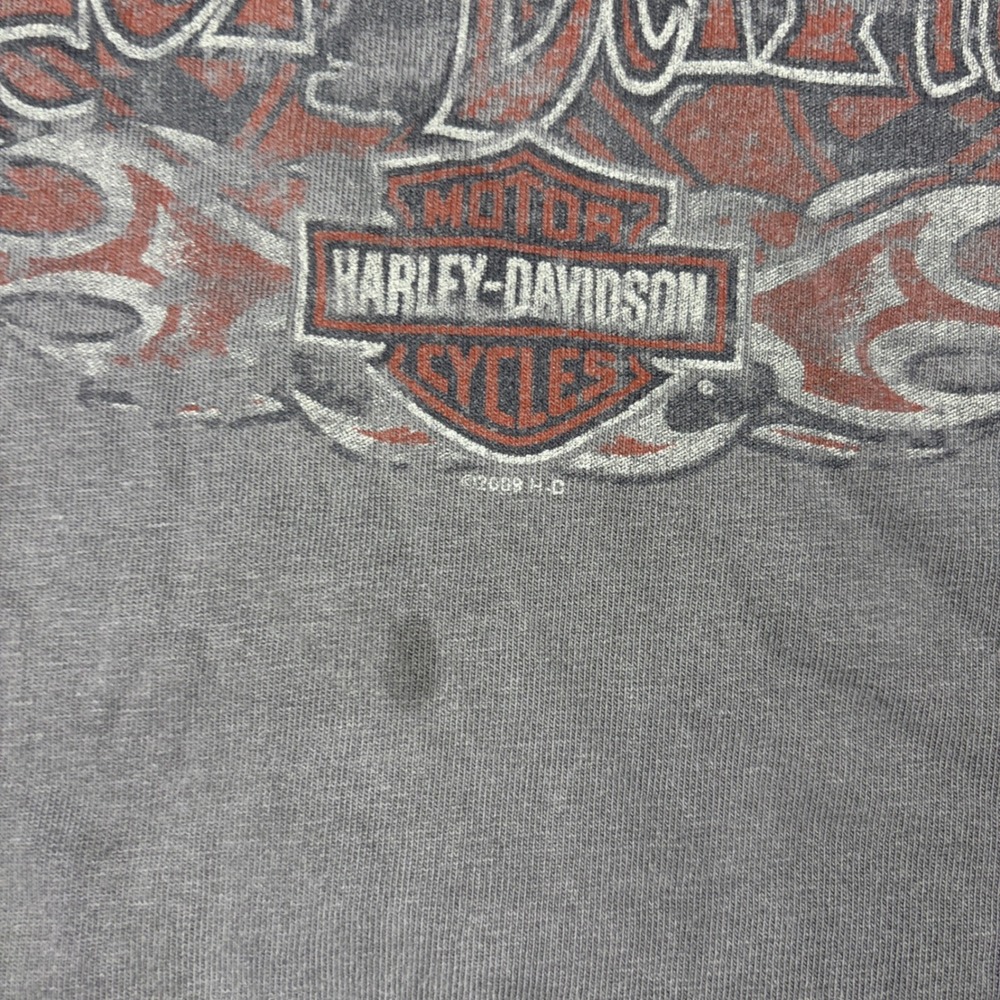 Vintage Y2K Harley Davidson Graphic T-Shirt Mens XL Gray Distressed Faded Biker - Picture 10 of 15